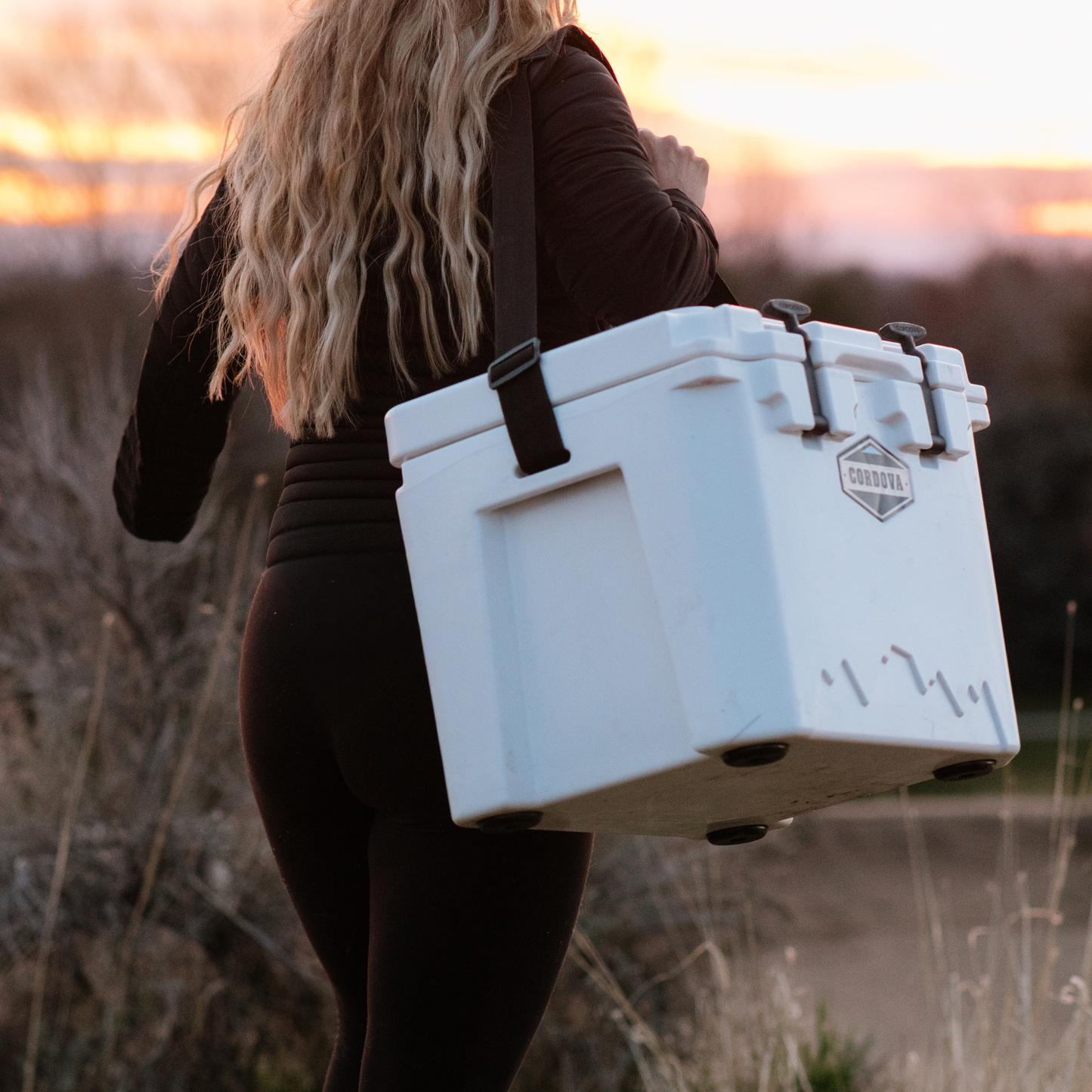 Hard Cooler