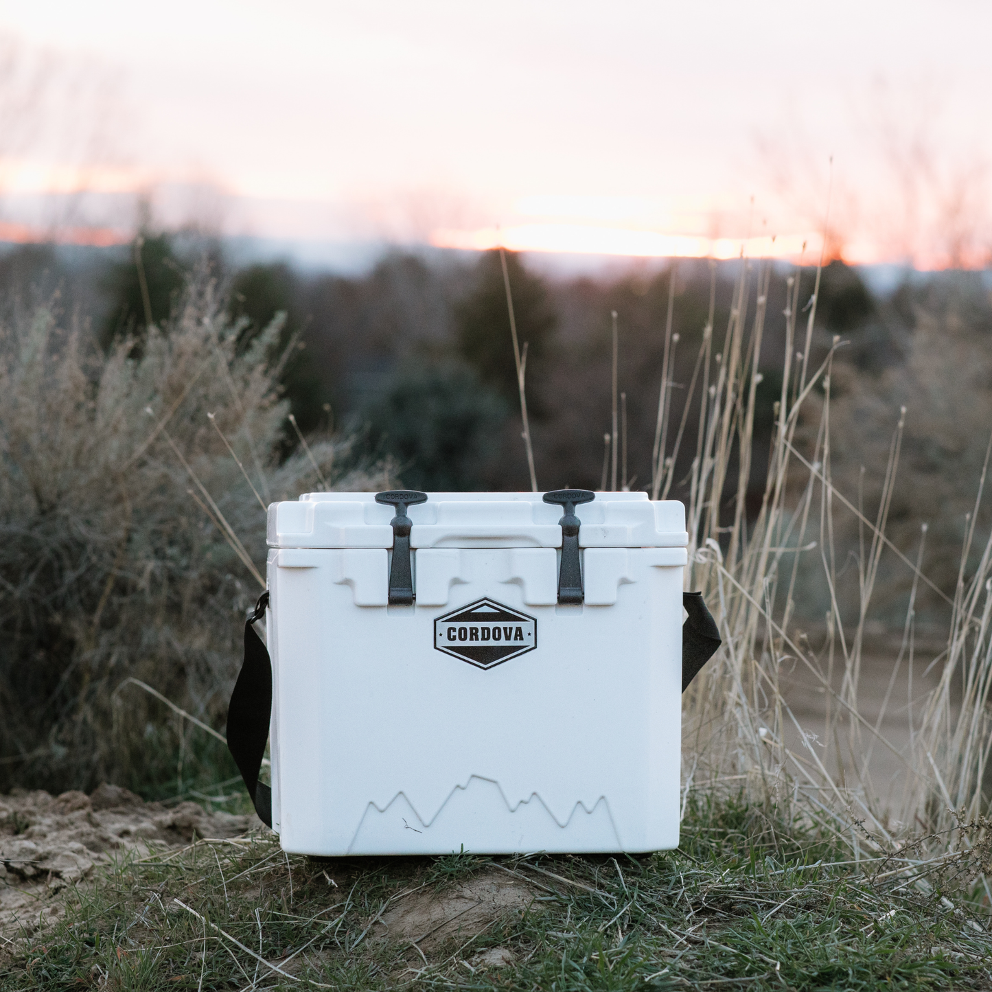 Hard Cooler