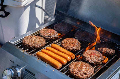 13742 | Stainless Tabletop Propane Grill