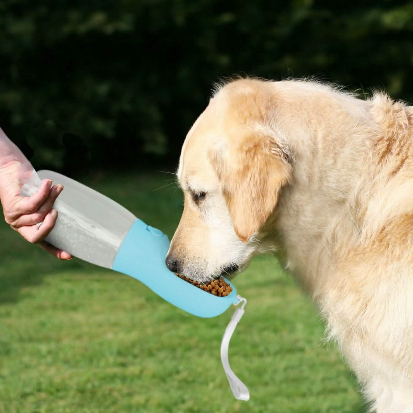 Dog Water, Food Container