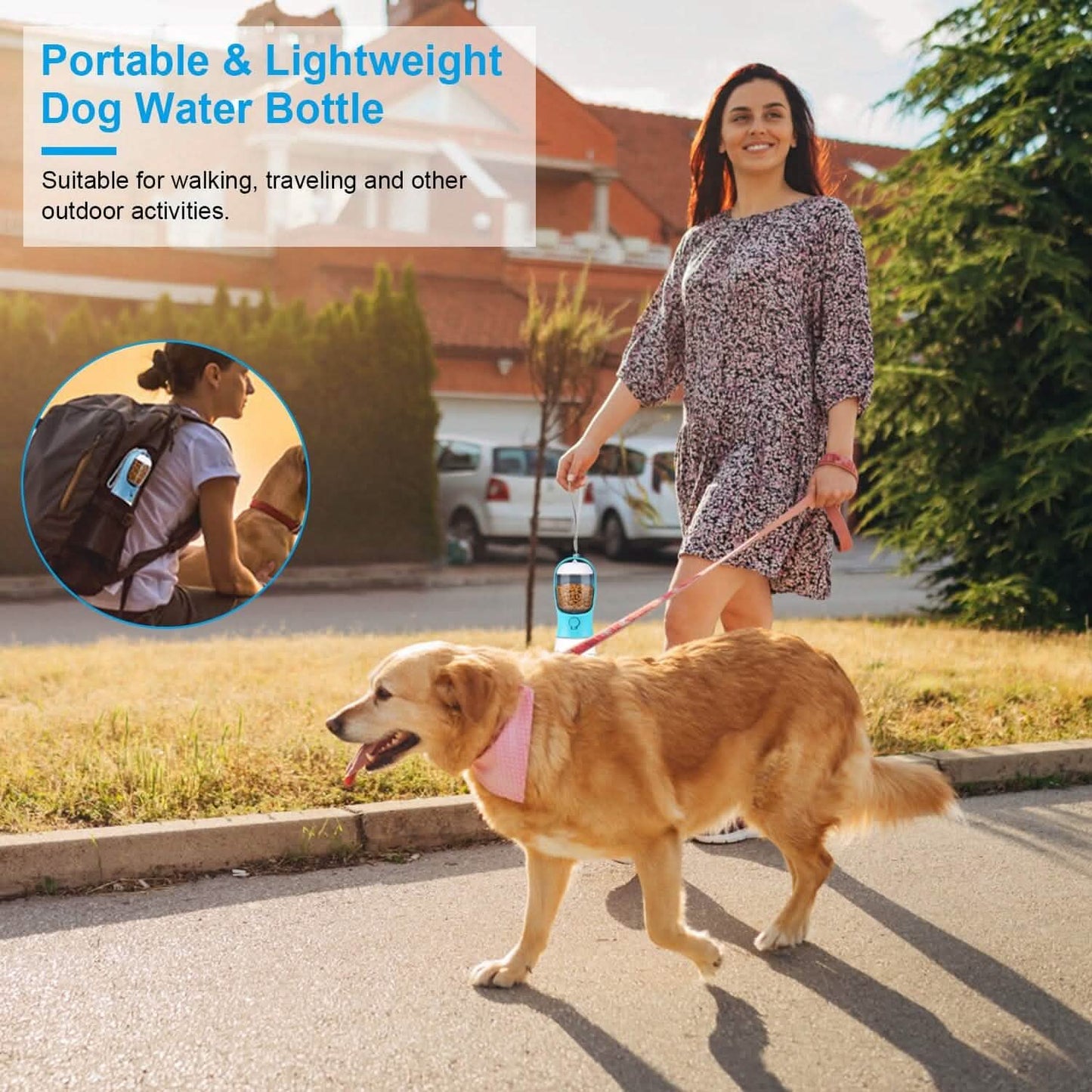 Dog Water, Food Container