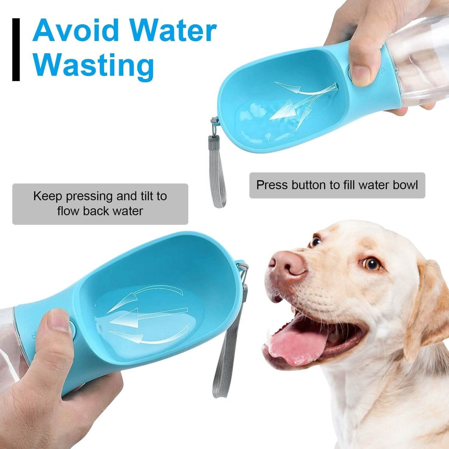 Dog Water, Food Container