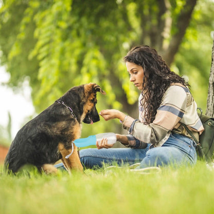 Dog Water, Food Container