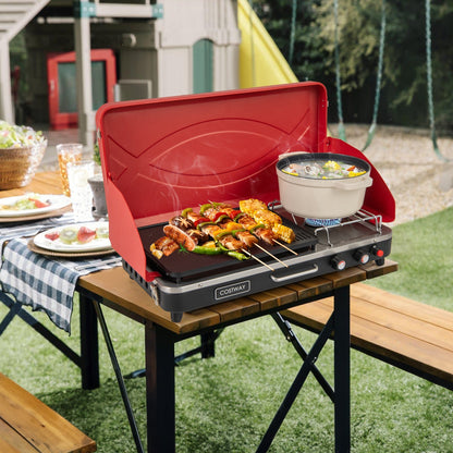 2-in-1 Gas Grill and Stove