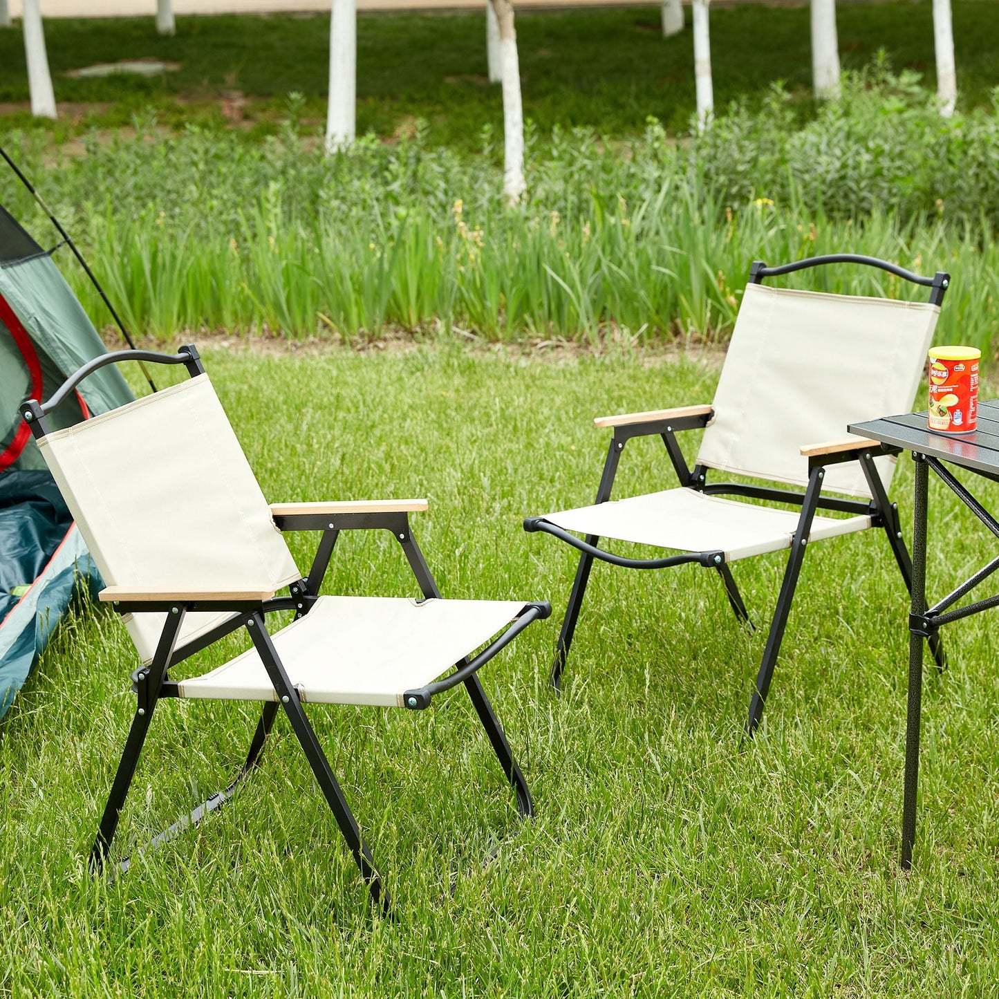 Folding Outdoor Chair
