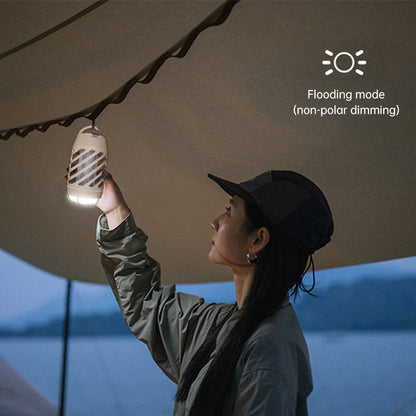 Mosquito Eliminating Lamp