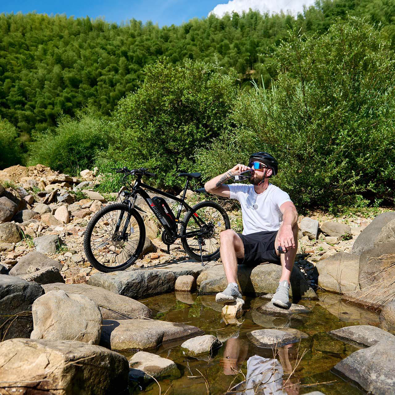Electric Mountain Bike