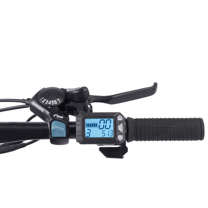 Electric Mountain Bike