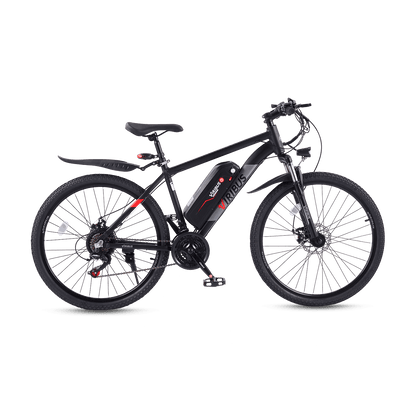 Electric Mountain Bike
