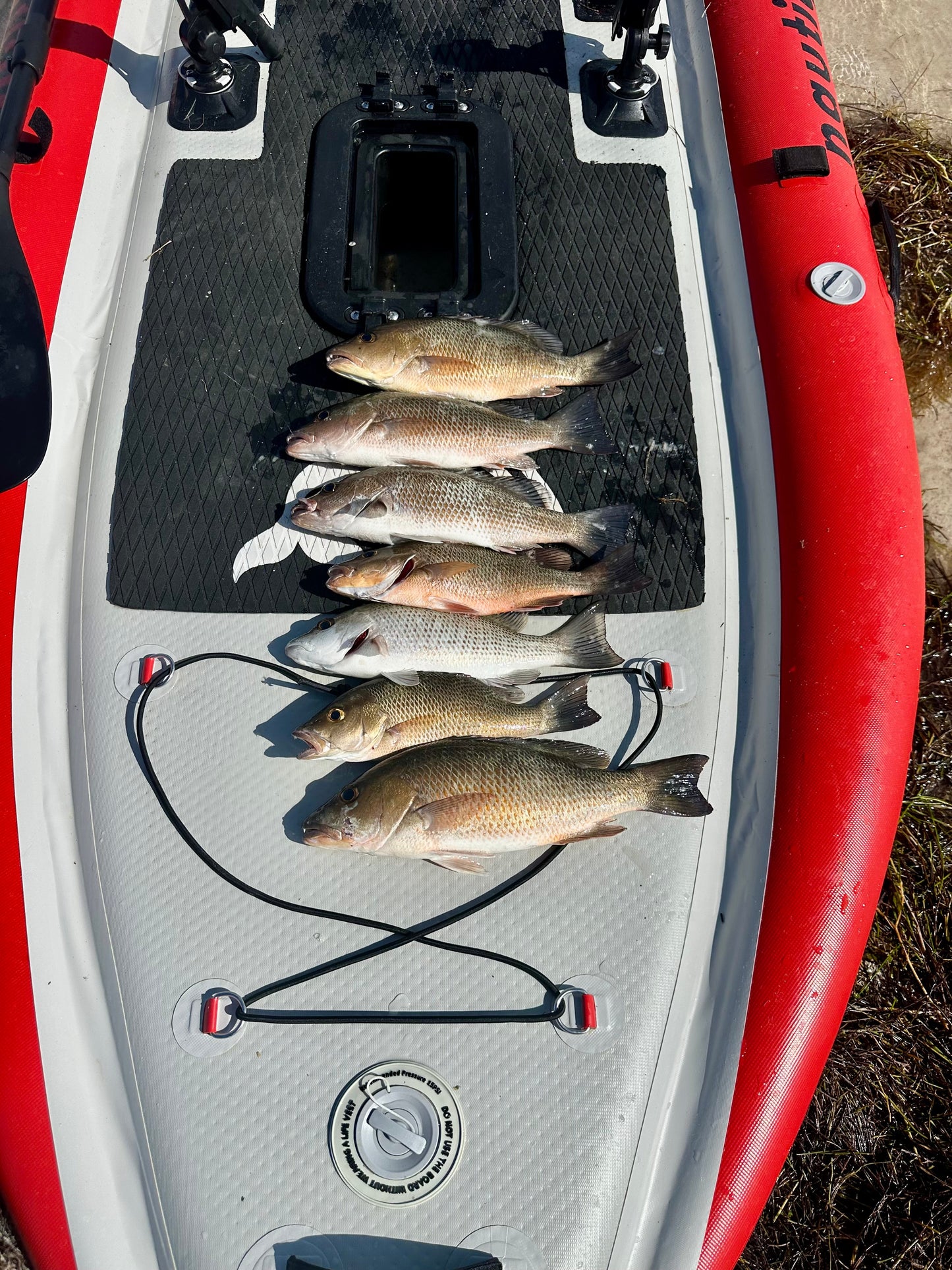 Paddleboard - Pedal Kayak