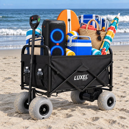 Electric Beach Wagon 500W
