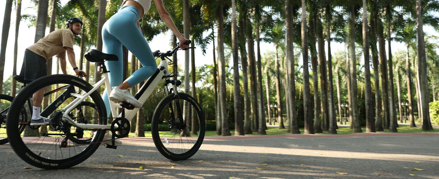 750W Electric Bike - 36V Battery