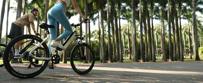 750W Electric Bike - 36V Battery