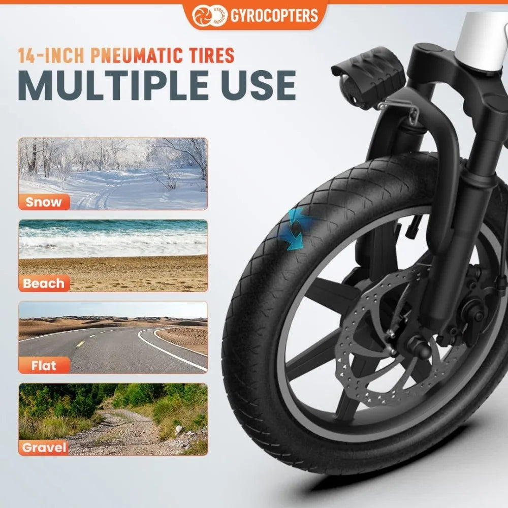 Folding Electric Bike - 350W Motor