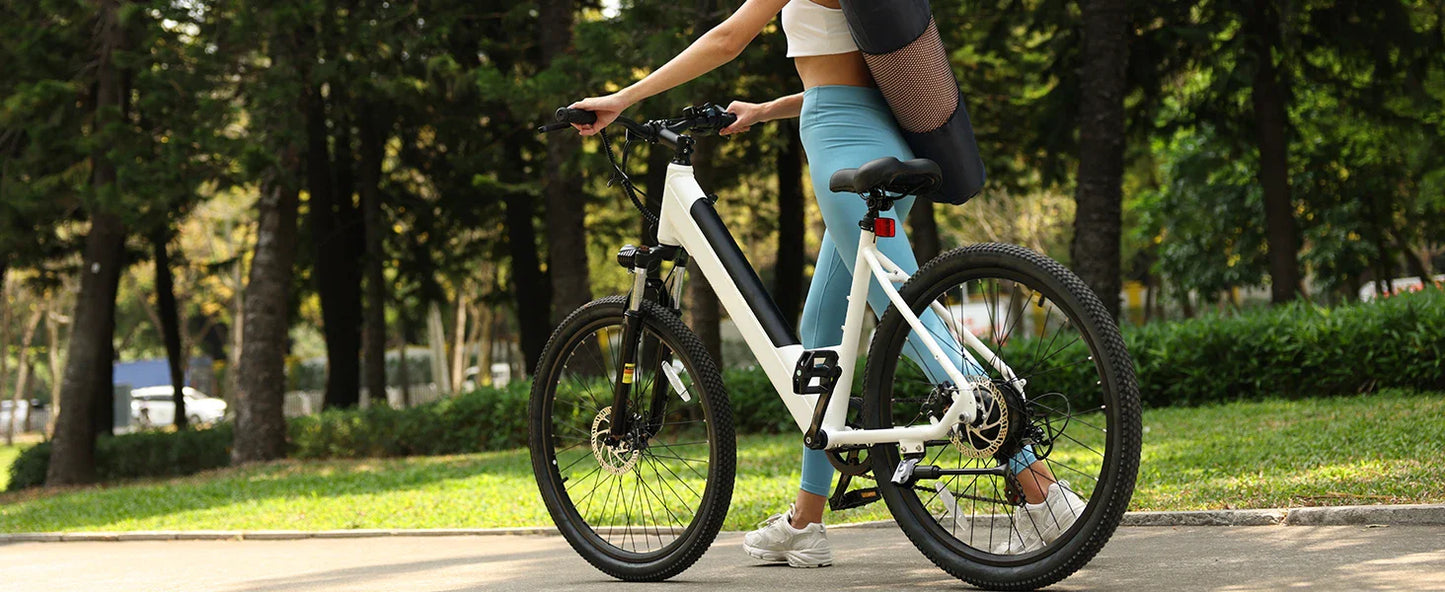 750W Electric Bike - 36V Battery