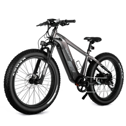 52V 750W Adult eBike