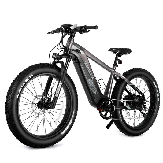 52V 750W Adult eBike