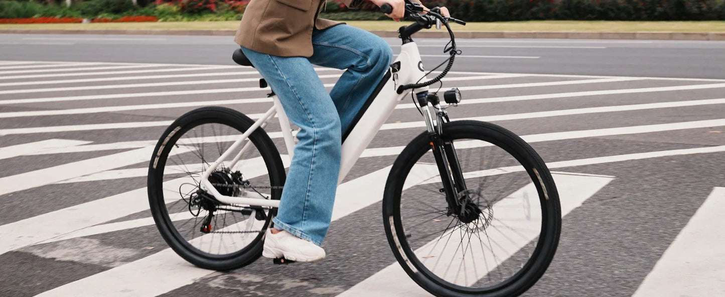 750W Electric Bike - 36V Battery