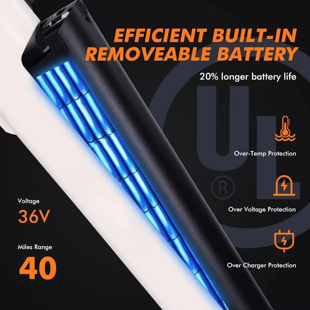 750W Electric Bike - 36V Battery