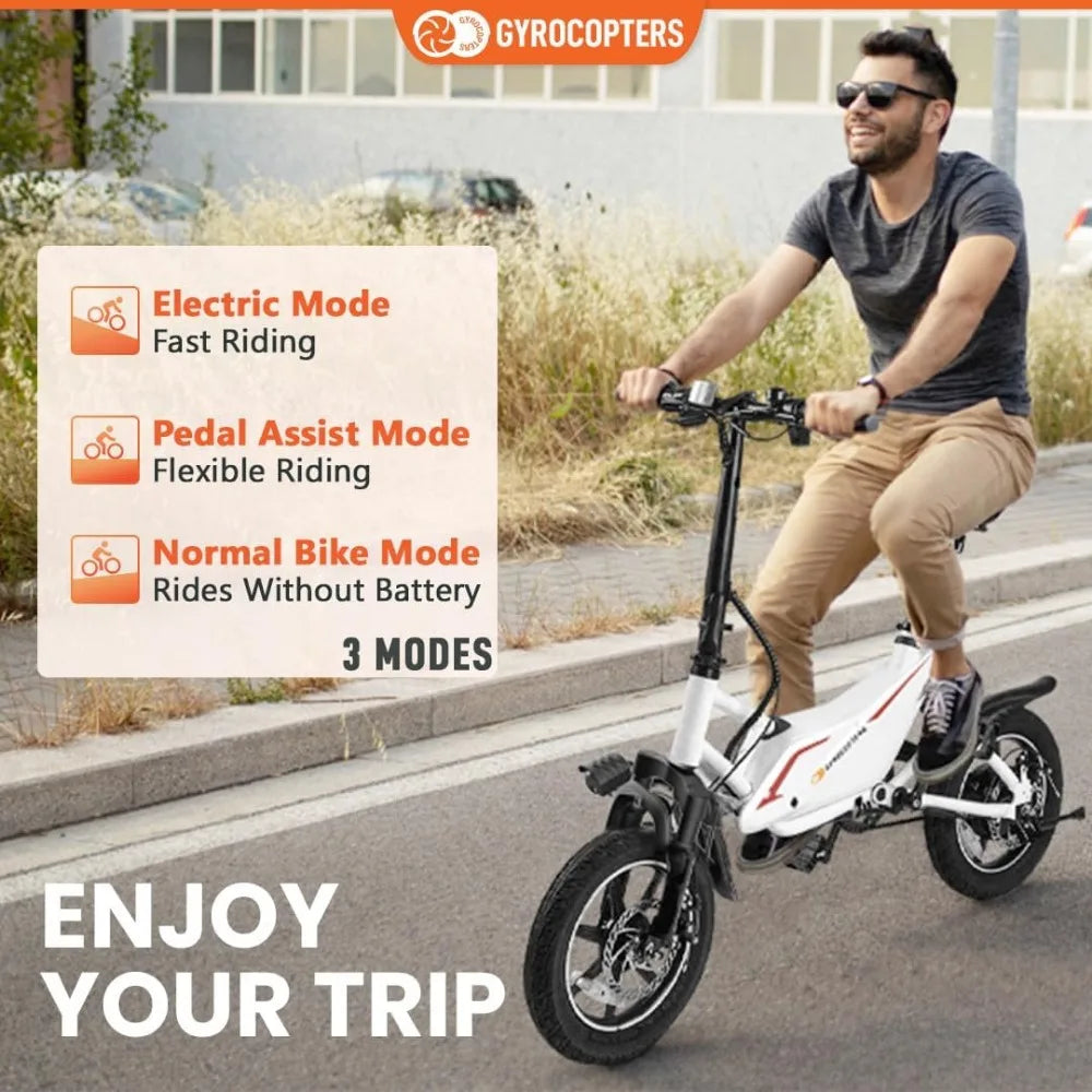 Folding Electric Bike - 350W Motor