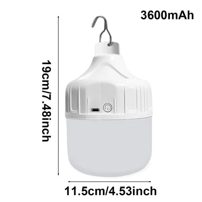 Rechargeable LED Light