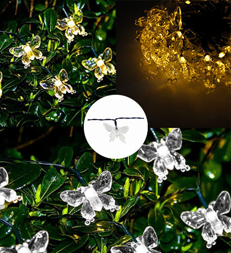 Solar Butterfly String Lights