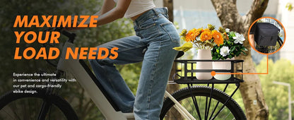750W Electric Bike - 36V Battery