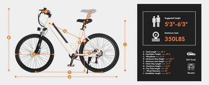 750W Electric Bike - 36V Battery
