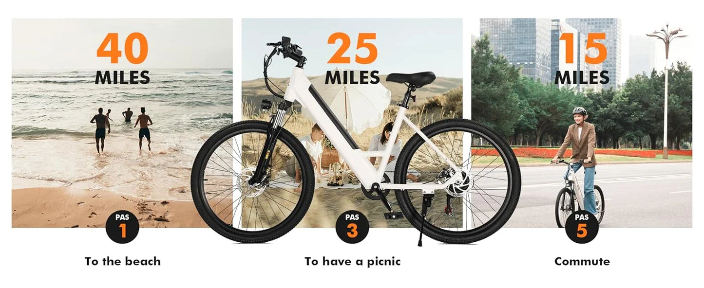 750W Electric Bike - 36V Battery