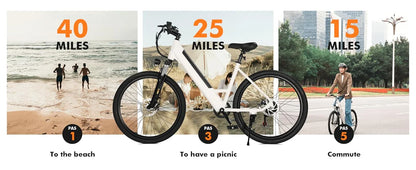 750W Electric Bike - 36V Battery