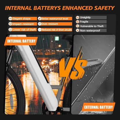 750W Electric Bike - 36V Battery