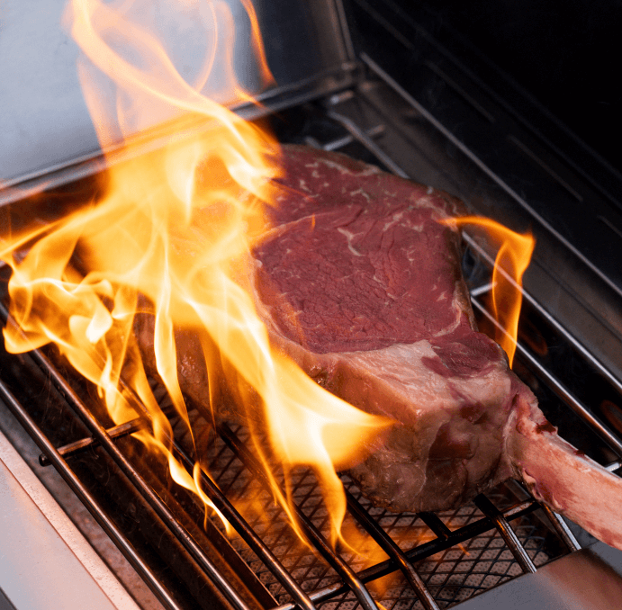 Eminence 405 | Clearview® Stainless Gas Grill
