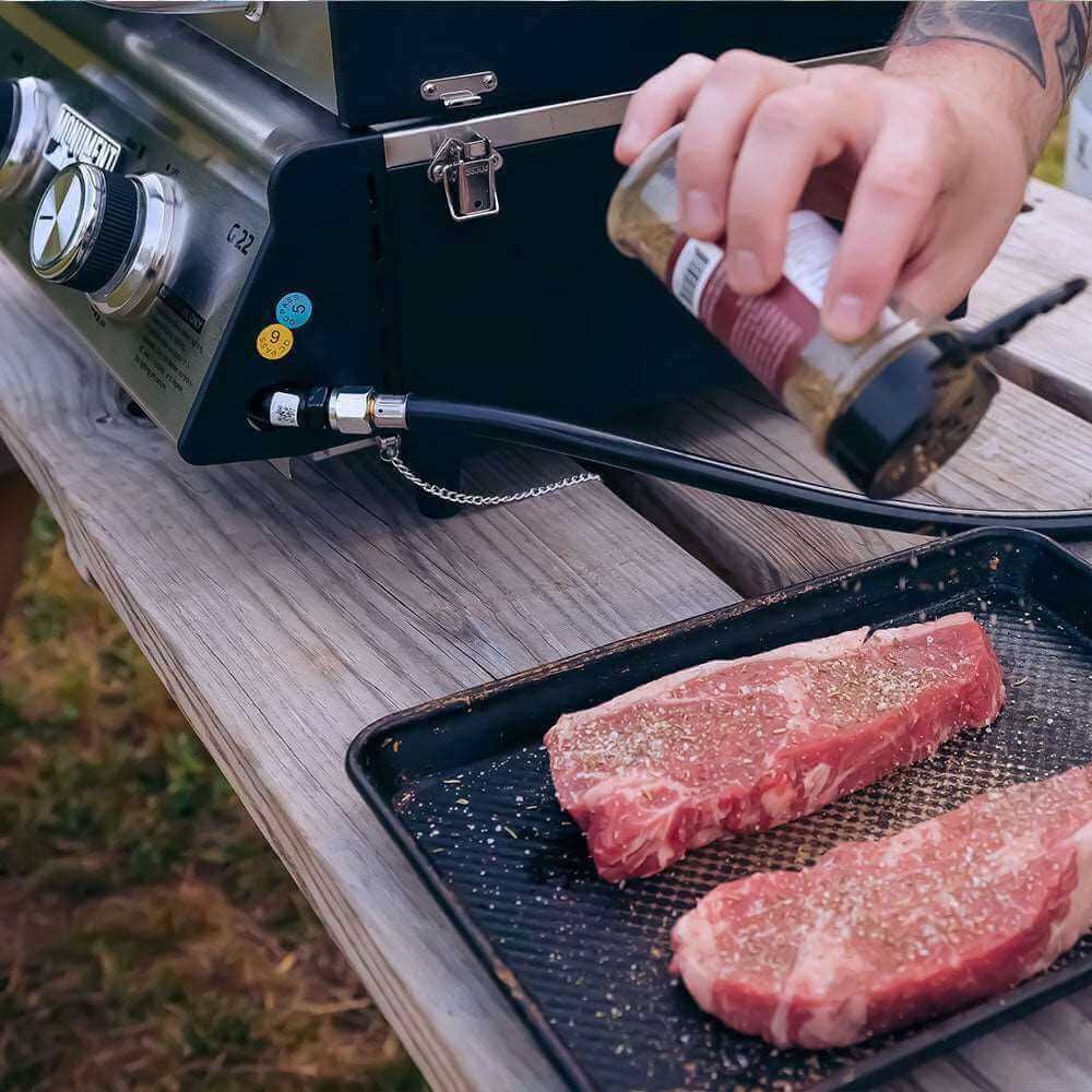 G22 | Stainless Tabletop Propane Grill