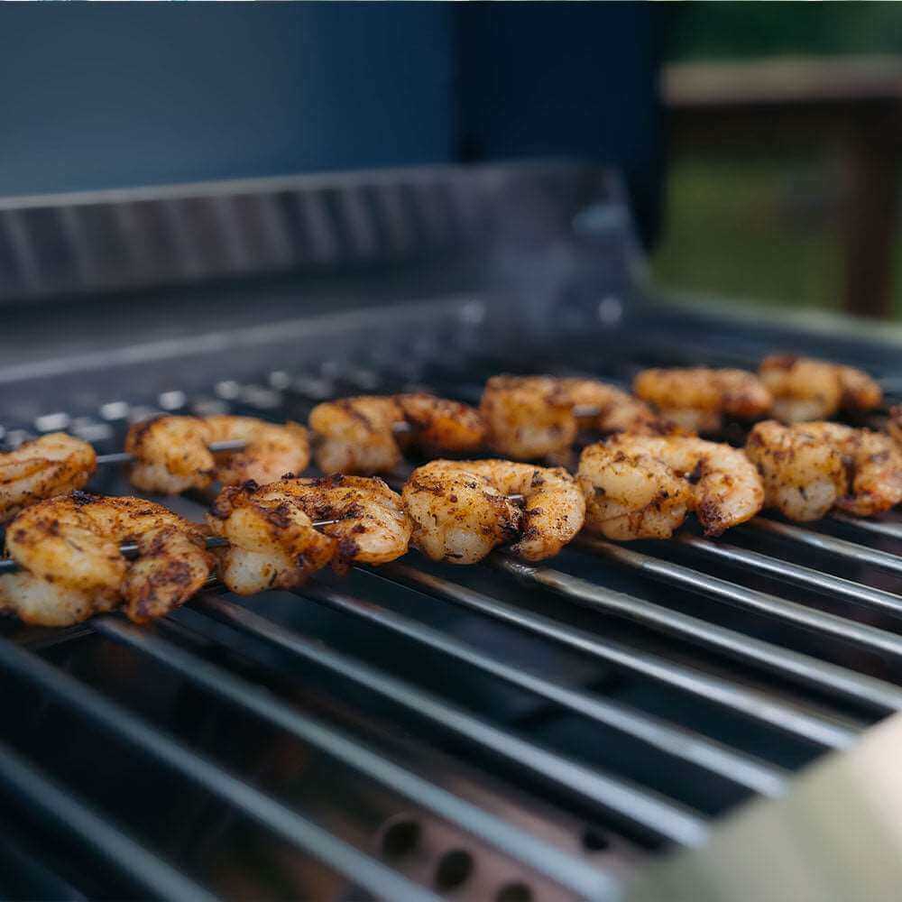 G22 | Stainless Tabletop Propane Grill