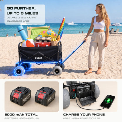 Electric Beach Wagon 500W