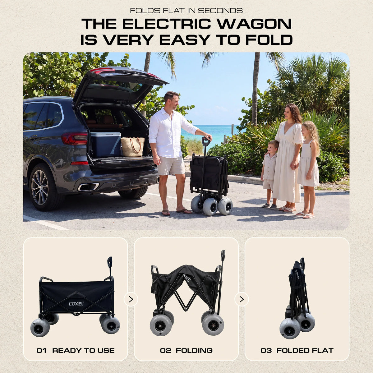 Electric Beach Wagon 500W