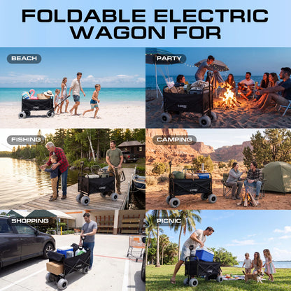 Electric Beach Wagon 500W