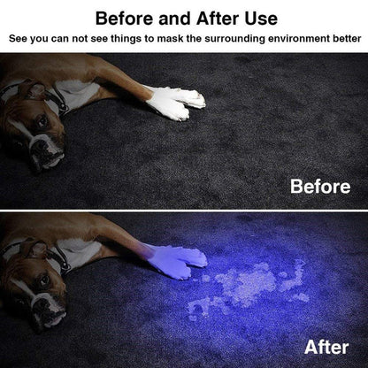 UV Mini Handheld- Fluorescent